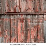 狗狗大萝莉呼啦圈:欢乐时光中的萌宠互动与趣味游戏 8caaz0trl