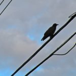 爱聚网:连接心灵与情感的温暖平台 dvmym0u