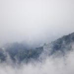 狗头萝莉为什么被骂:揭示背后争议与网友反应的深层原因 ewnvg4hk