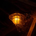 爱美剧与漫画的完美结合:探索二次元与三次元的魅力 l54ofy