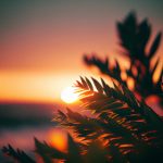 深入探讨多项式的余数定理及其应用 mqq2r