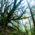 深入探讨Sykes与Kronos在企业管理中的应用与优势 msz5t4