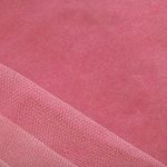 深入探讨安格斯牛品种的独特特征与优势 sqec6rda