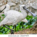 真不卡电影网:畅享无广告高清影视,尽情追剧不等待 pajwgvf