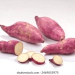 看看屋在线免费观看午夜:畅享午夜时光,尽情观看精彩影视内容 r76qznke5