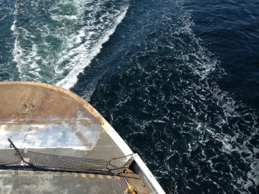 真不卡影院官网入口：畅享高清影视，尽在真不卡影院！