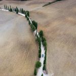 磁力下载器不限速:畅享高速下载,轻松获取海量资源 yuihcstts